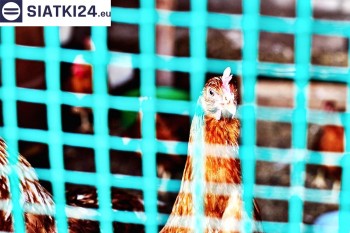 Siatki Turek - Siatka na woliery - zabezpieczenia ptaków w hodowli dla terenów Miasta Turek